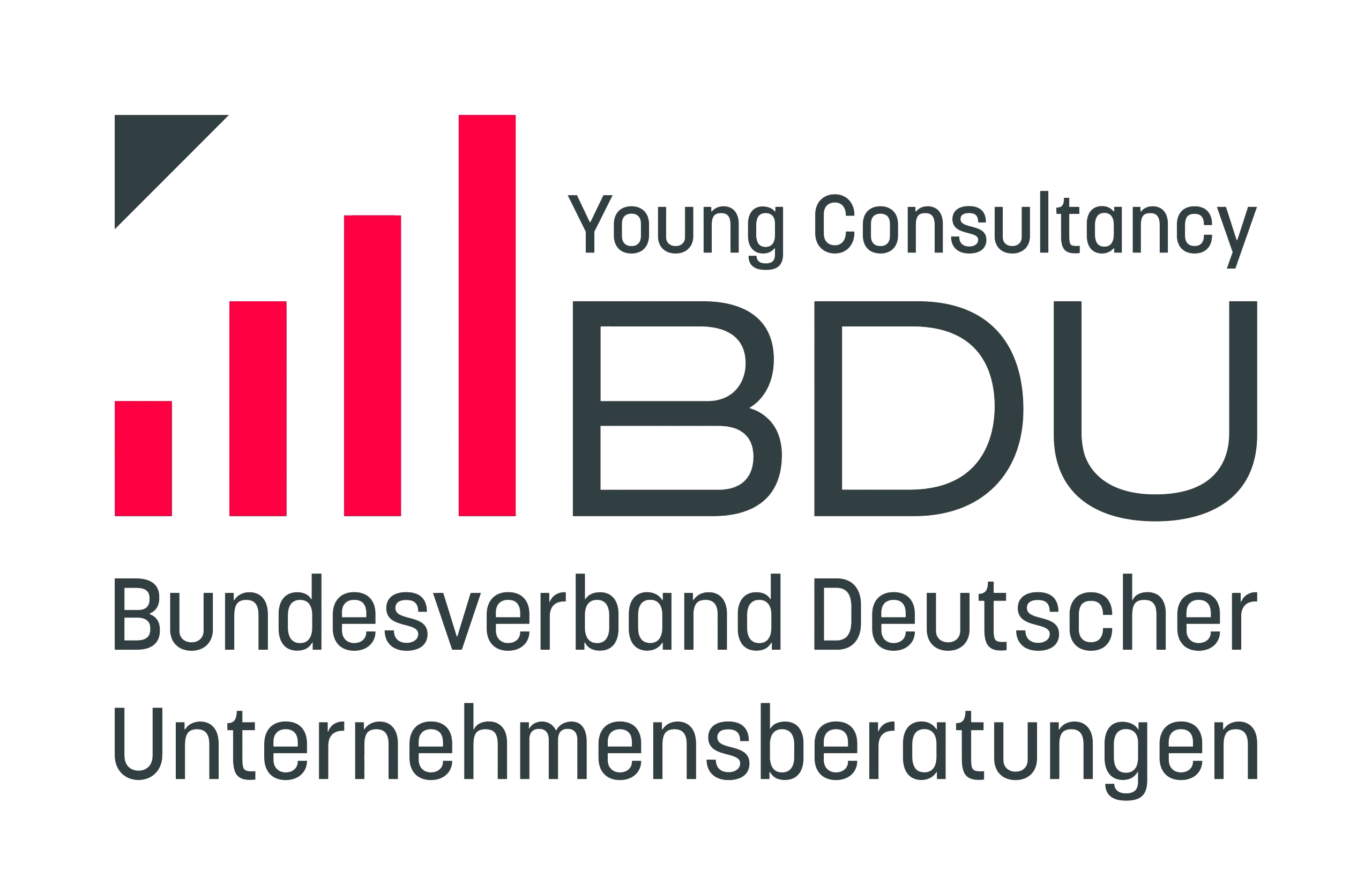 BDU_Young-Consultancy_Logo-scaled